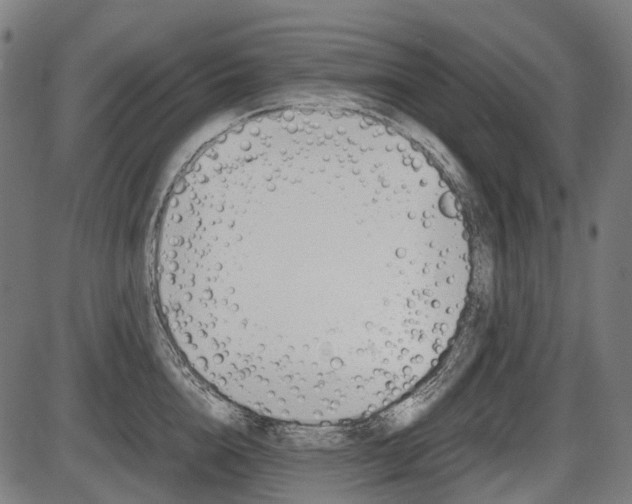 X0000087580856200704271043