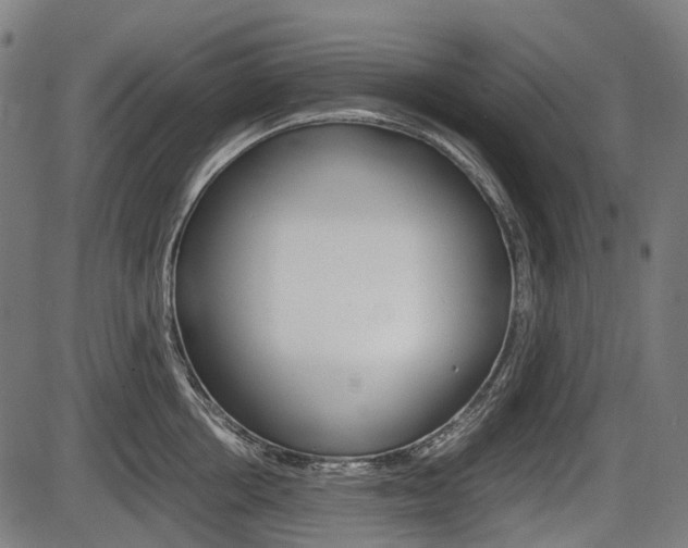 X0000087580858200704271043