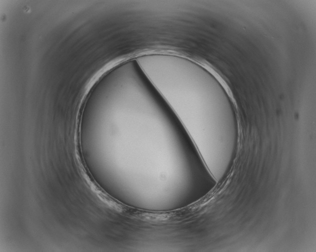 X0000087580861200704271043