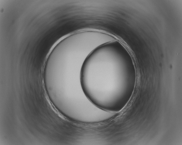 X0000087580862200704271043