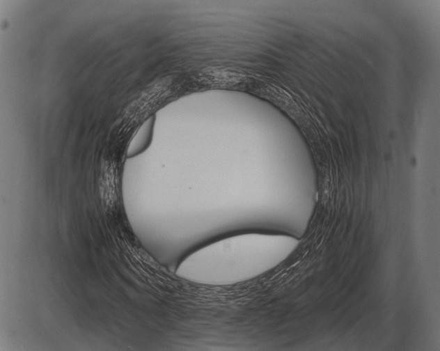 X0000087580866200704271043
