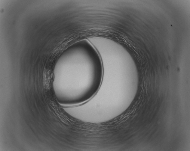 X0000087580868200704271042
