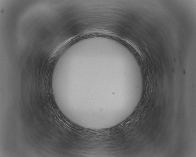 X0000087580872200704271042