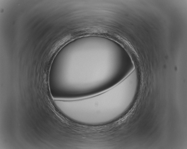 X0000087580881200704271042