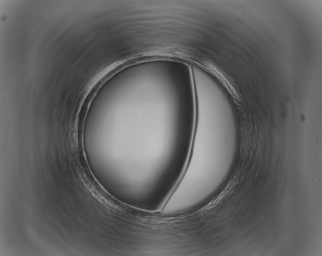 X0000087580884200704271042