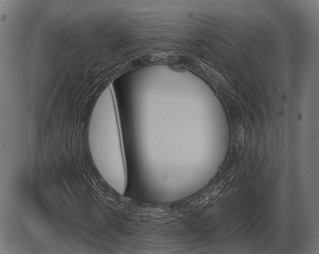 X0000087580914200704271041