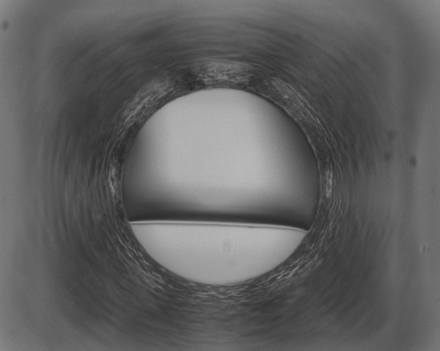 X0000087580915200704271041