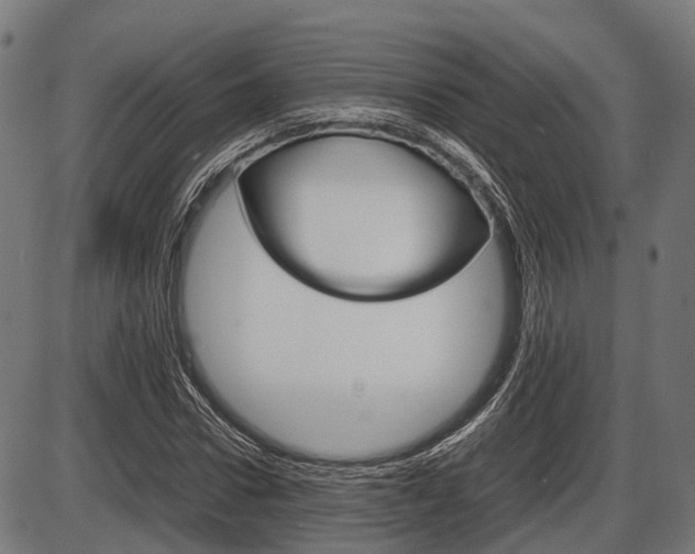 X0000087580922200704271041