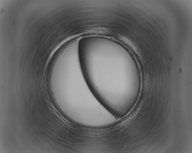 X0000087580923200704271041
