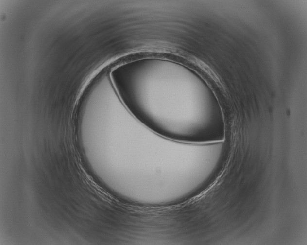 X0000087580926200704271041