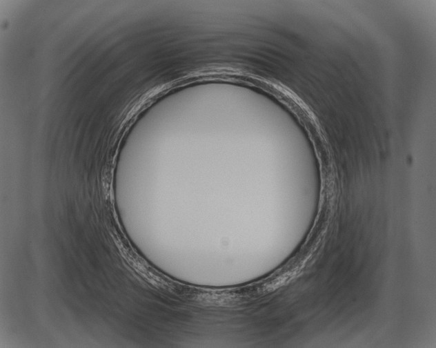 X0000087580929200704271041