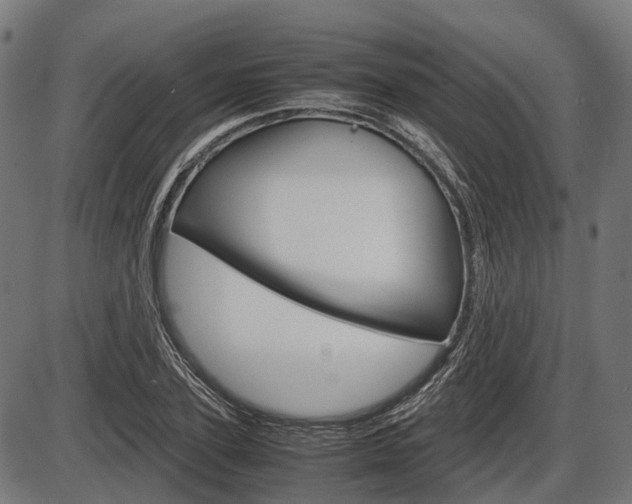 X0000087580931200704271041