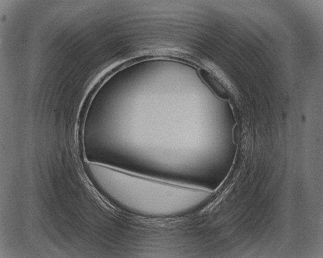 X0000087580932200704271041