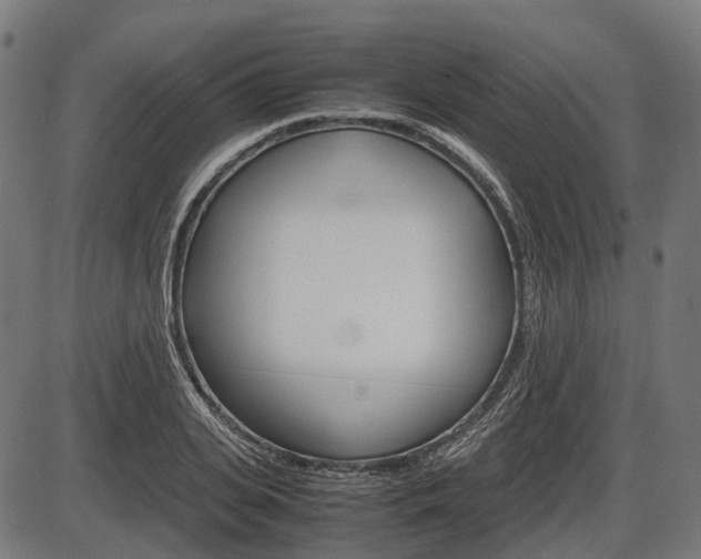 X0000087580935200704271041