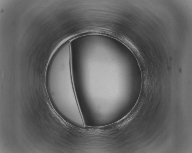 X0000087580940200704271041