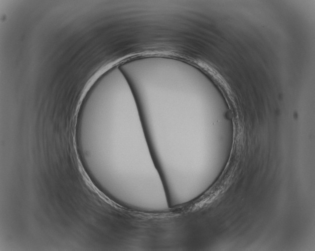 X0000087580941200704271041