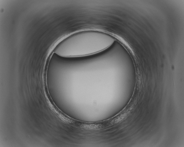 X0000087580943200704271041