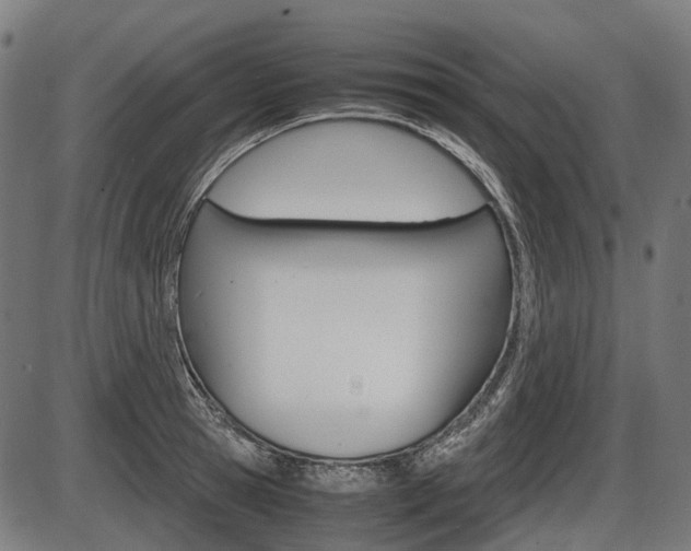 X0000087580945200704271041