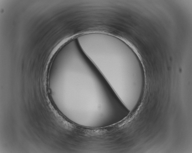 X0000087580949200704271042
