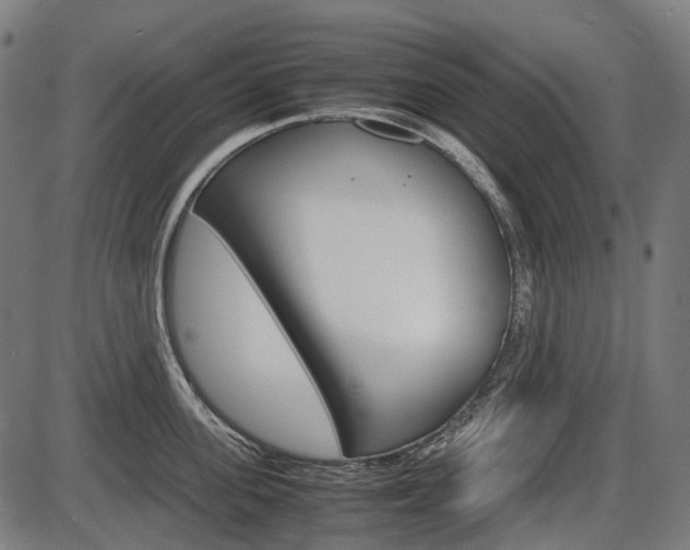 X0000087580955200704271042