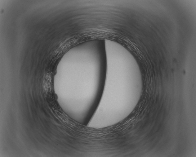 X0000087580964200704271041