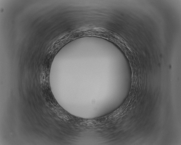 X0000087580966200704271041