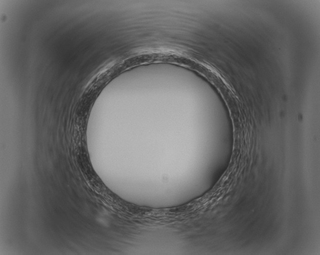 X0000087580967200704271041