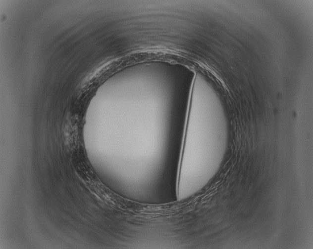 X0000087580968200704271041