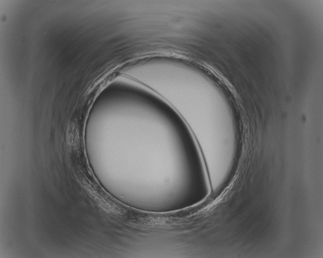 X0000087580969200704271041