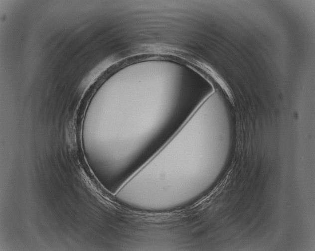 X0000087580972200704271041