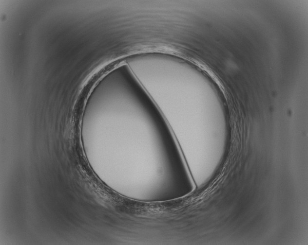 X0000087580975200704271041