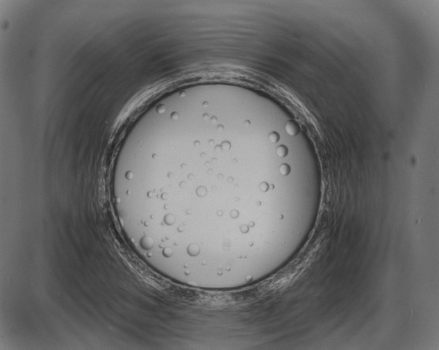 X0000087580978200704271041