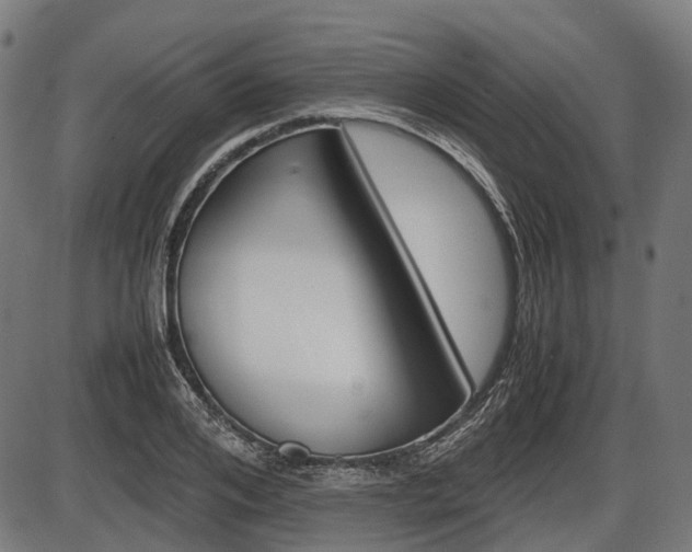 X0000087580984200704271041