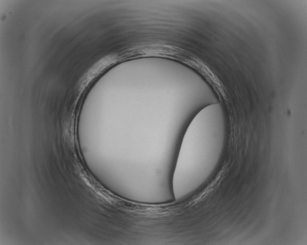 X0000087580986200704271041