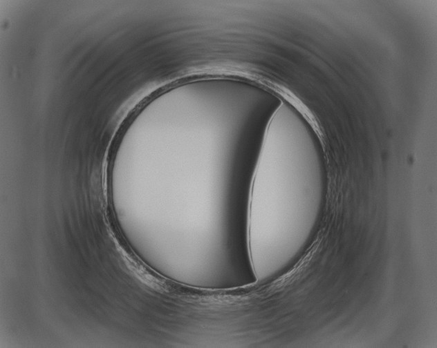 X0000087580988200704271041