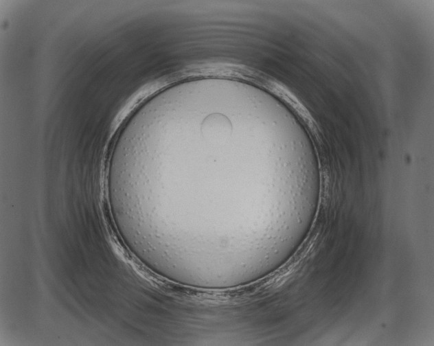 X0000087580994200704271040