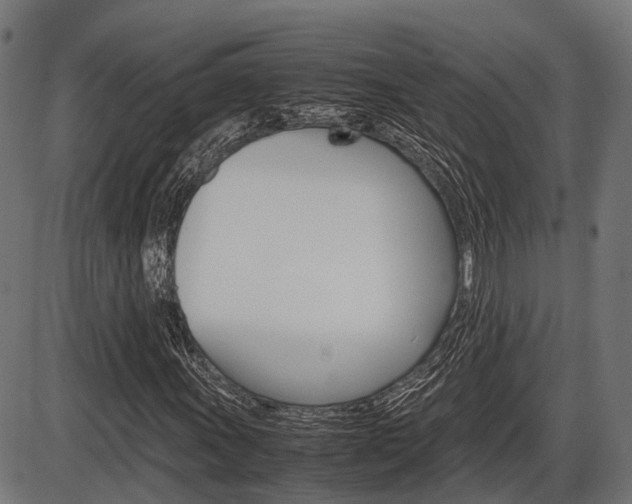 X0000087581011200704271039