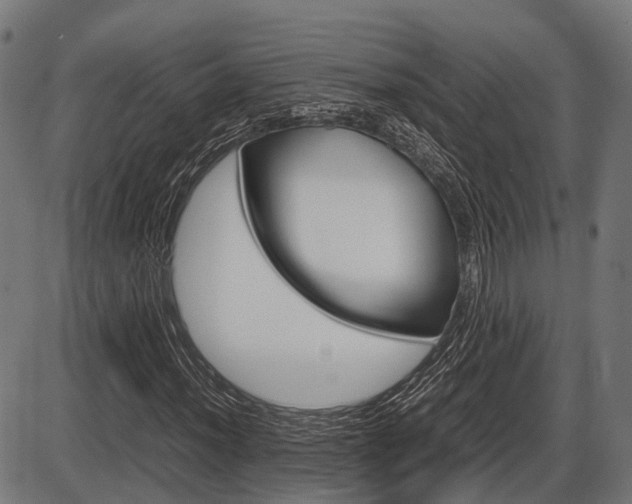 X0000087581012200704271039