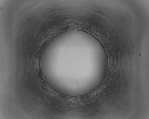 X0000087581013200704271039