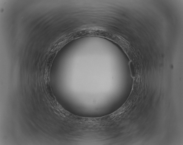 X0000087581014200704271039