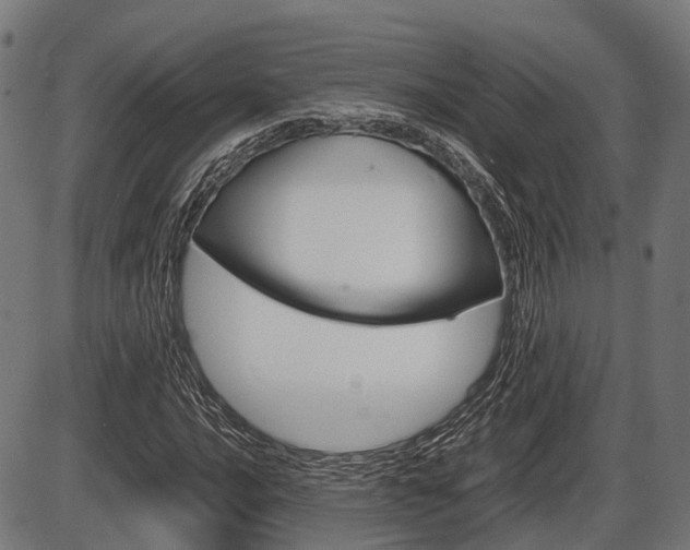 X0000087581016200704271040