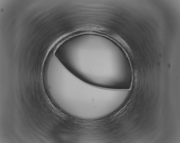X0000087581020200704271040