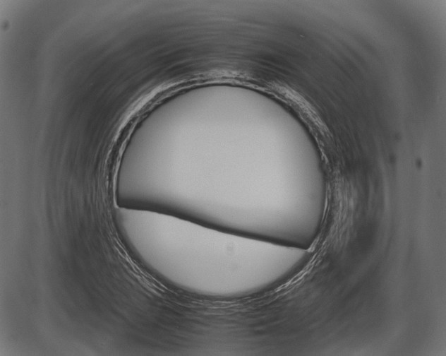 X0000087581023200704271040