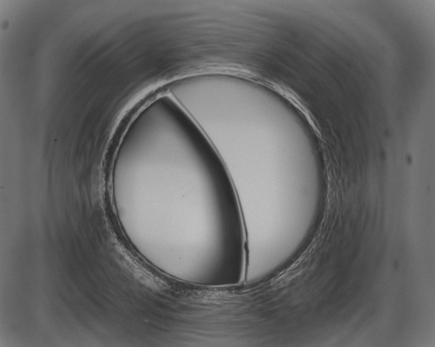 X0000087581024200704271040