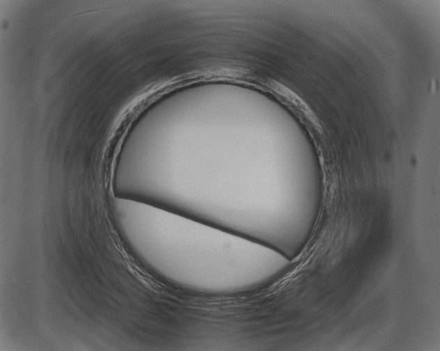 X0000087581027200704271040