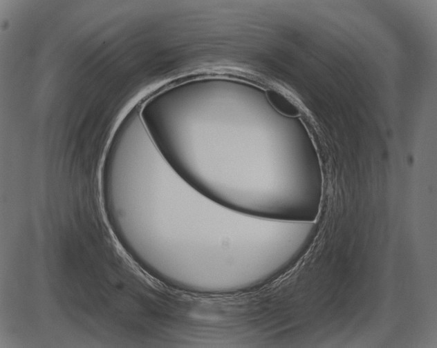 X0000087581032200704271040