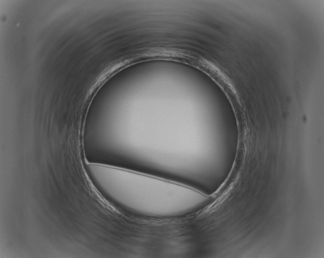 X0000087581033200704271040