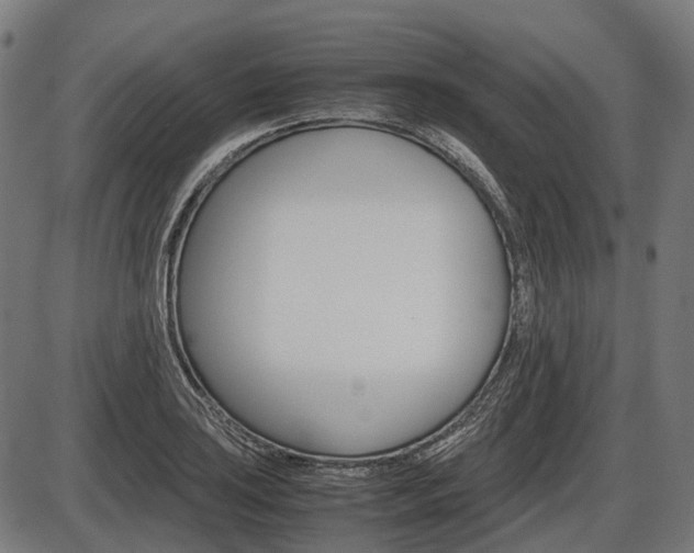 X0000087581035200704271040