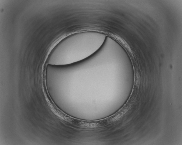 X0000087581039200704271040