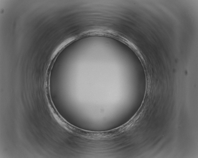 X0000087581042200704271040